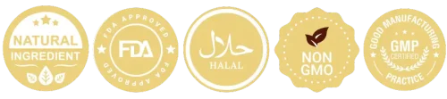 ICON (900 × 200 px) (1)